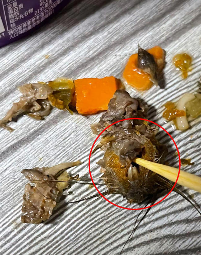 专家推测老鼠混入酸菜的可能性食品安全引担忧(图2)