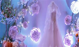 2024年中国纸制品包装行业发展现状及未来发展趋势预测(图4)