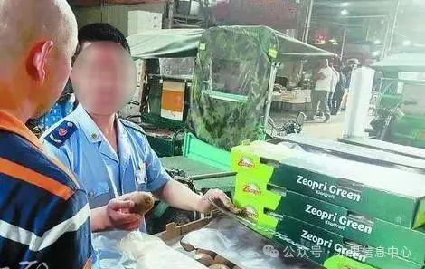卖“假水果”判刑3年罚款55万(图3)