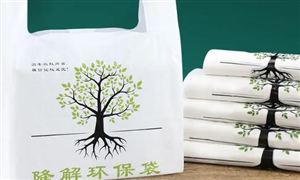 2024包装印刷行业发展环境与前景、趋势(图5)