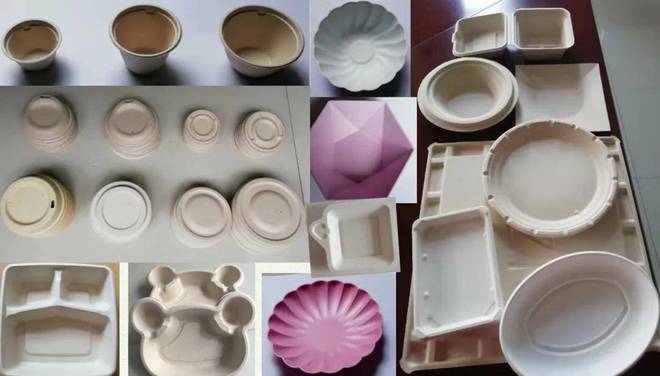 IPFM2024国际植物纤维纸浆模塑佛山展佛山浩洋包装机械有限公司(图4)