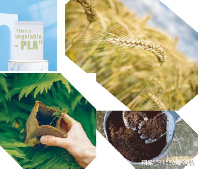 环保包装的种类：可回收包装、生物降解、纸(图5)
