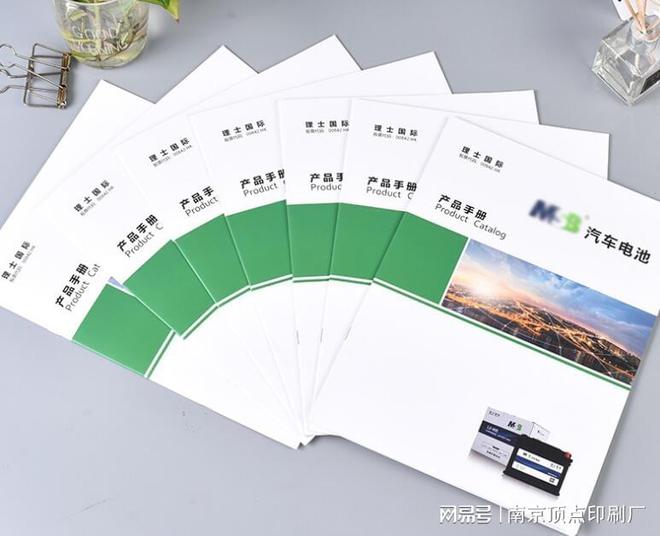 南京24P招商宣传册设计-南京说明书印刷-海报单页印刷(图2)
