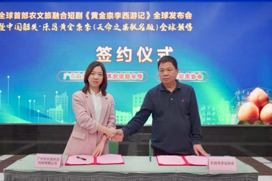 全球首部农文旅短剧《黄金柰李西游记》全网播放突破百万(图1)