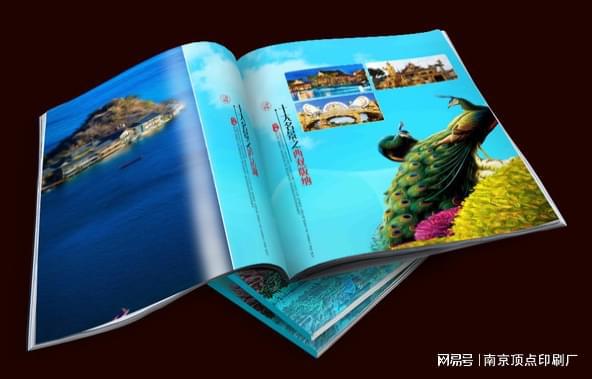 南京旅游宣传册设计印刷-南京卡套纸袋印刷-无碳复写(图2)