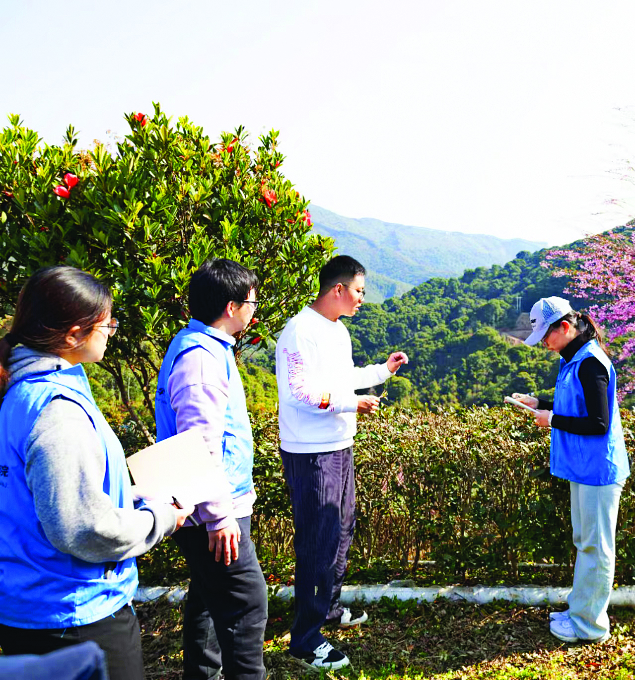 暨大学子助力博罗山茶营销将“惠州好风景”融入茶包装(图1)