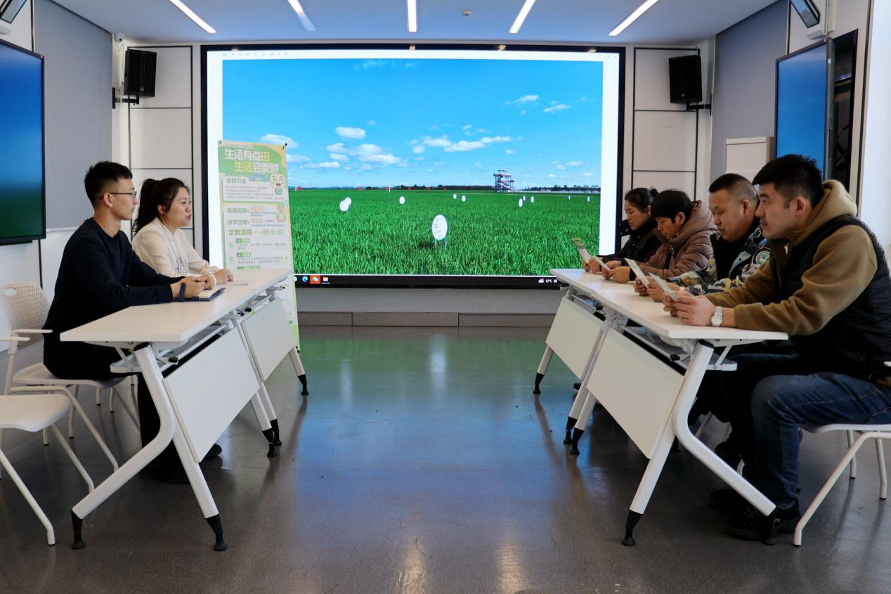 共青农场有限公司：发展定制农业种植户“种无忧售不愁”(图1)