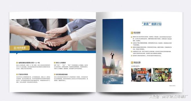 南京高大上宣传册设计-南京产品营销画册印刷-信封印刷制作(图4)