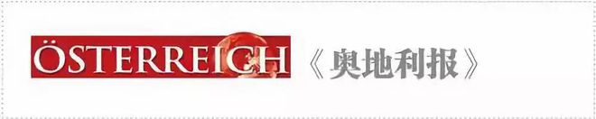 【德奥头条】奥地利2024年26亿欧元广告费流向谷歌、TikTok和Instagram(图2)