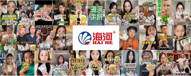 风味牛奶杀回货架：海河乳品的焕新之路(图13)