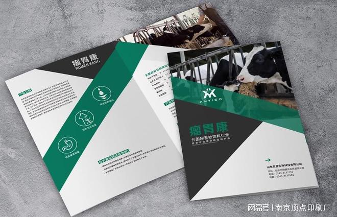 南京游戏公司画册设计-南京科技产品画册印刷-医疗折页印刷(图2)