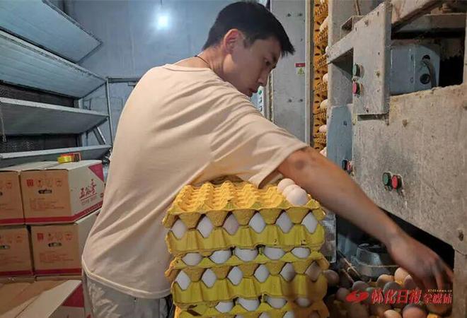 怀化鸡蛋如何破局？(图4)