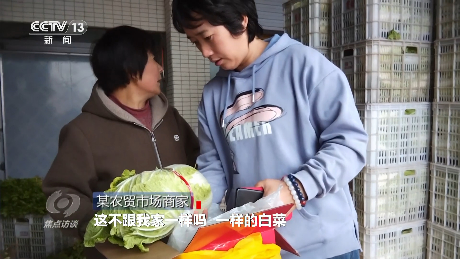 焦点访谈从“胶州大白菜”看地理标志保护这些坑千万别踩！(图4)