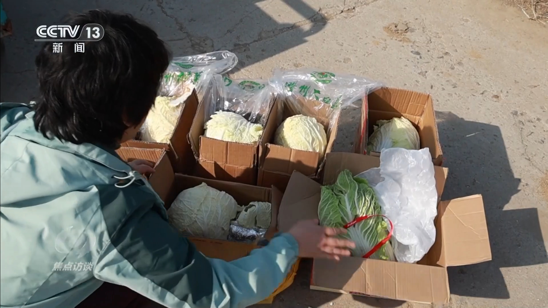 焦点访谈从“胶州大白菜”看地理标志保护这些坑千万别踩！(图6)