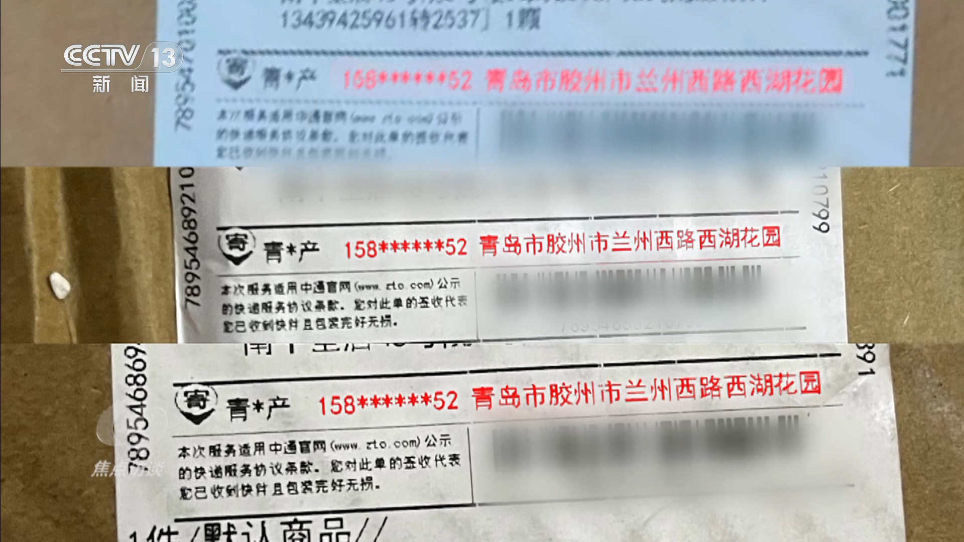 焦点访谈从“胶州大白菜”看地理标志保护这些坑千万别踩！(图10)