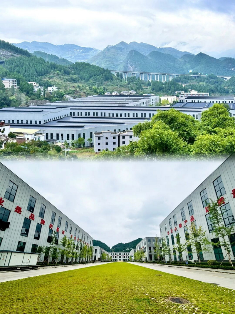 贵州习水：民企“包材兵团”锻造百亿产业新引擎(图1)