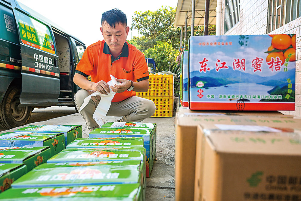 蹲点十村看乡村振兴再出发｜新华蹲点调研(图10)