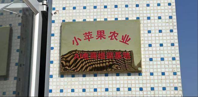 AI赋能乡村振兴：烟台市桃村镇贾家沟村智慧农业发展的案例研究(图5)